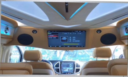 21.5" Luxury Universal Fixed Roof Monitor (VIP)
